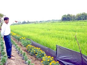 Giúp nông dân tự bảo vệ mình