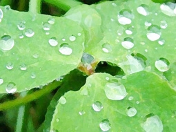 Singapore muốn biến nước thành nhiên liệu