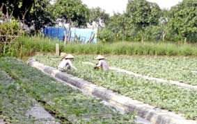 Cần "đầu ra" cho sản phẩm