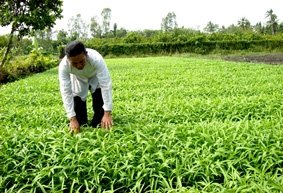 Giúp nông dân tự bảo vệ mình