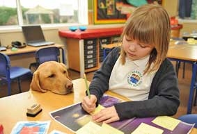 “Học sinh” đặc biệt