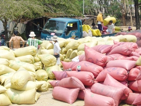 Đảm bảo nông dân có lợi