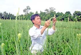 Nhà nông trẻ Phạm Kim Ngân với <br>
Giải thưởng Lương Định Của