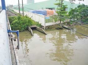 Bảo vệ môi trường - Cần sự đồng thuận