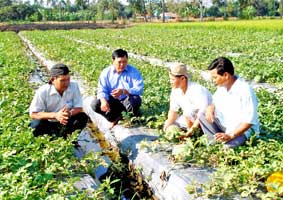 Tích cực tuyên truyền, vận động, giúp nông dân nâng cao thu nhập