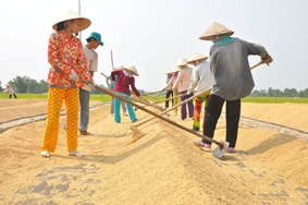 Các doanh nghiệp đã sẵn sàng