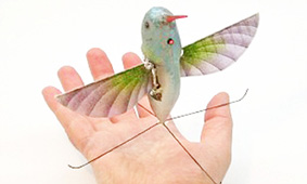 Máy bay do thám nhỏ như chim