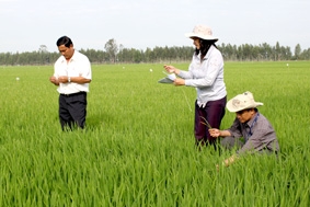 TP Cần Thơ quy hoạch phát triển nông nghiệp