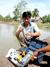 Lo phập phồng từ những diện tích thả sớm