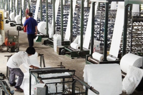 Phải chọn hướng kinh doanh phù hợp