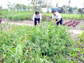 Những công trình, phần việc thiết thực