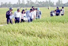 Nhu cầu bức thiết của nông dân