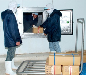 Hướng đến mục tiêu xuất khẩu đạt 1 tỉ USD