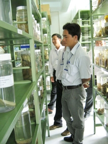 Hợp tác bảo tồn nguồn lợi thủy sản lưu vực sông Mekong