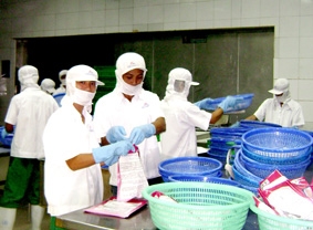 Cần phối hợp chặt chẽ trong chuỗi sản xuất