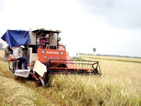 Nông dân phấn khởi !