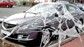 Thu hồi xe vì 
mạng nhện