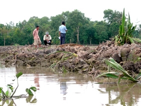 Để phát triển nông nghiệp bền vững thời kỳ biến đổi khí hậu
