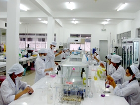 Đẩy mạnh phát triển đảng viên trong lực lượng trẻ