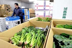 Nước và thực phẩm nhiễm xạ 
ngày càng trầm trọng