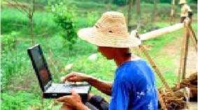 Nông dân Trung Quốc lên Internet bán rau cải