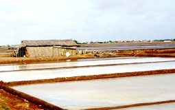 BẠC LIÊU: Mưa lớn bất thường gây thiệt hại hàng ngàn héc-ta muối