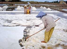 Vị "đắng" của muối