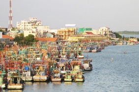 Nông, ngư dân trước bài toán khó: "Lời - lỗ"