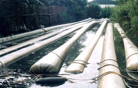 Hướng đến bán quota khí thải