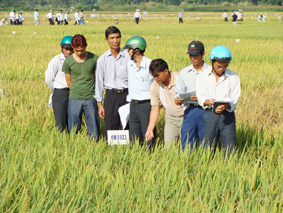 Nhìn lại sự phát triển của sáu vùng kinh tế