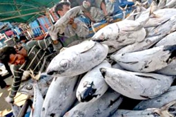 Cơ hội và thách thức