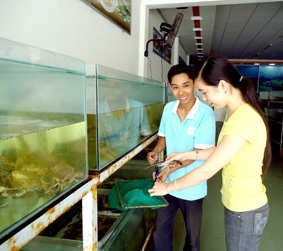 Chọn hải sản cho ngày nghỉ