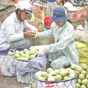 Giá nhiều loại 
trái cây đặc sản 
ở mức cao