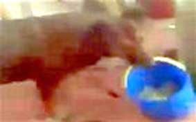 Trợ thủ đắc lực