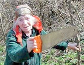 Mất Internet vì... 
cụ bà tìm phế liệu