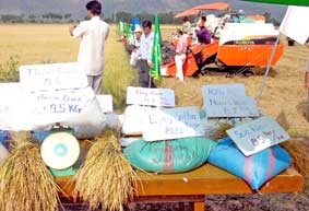 Lúa gạo Campuchia <br>
<i>Doanh nghiệp Việt Nam cần sự hỗ trợ</i>