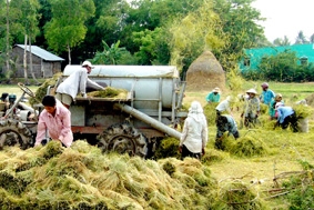 Sẵn sàng cho vụ lúa thu đông