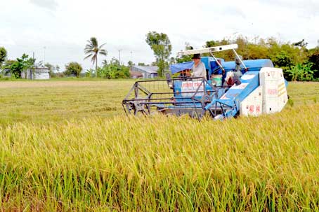Chung tay xây dựng nông thôn mới
