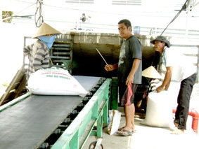 Giá lúa gạo tiếp tục tăng?