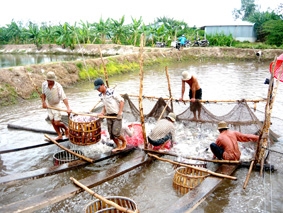 Hướng nào để mở rộng diện tích nuôi thủy sản?