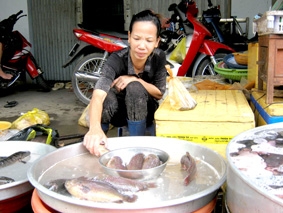 Nông dân cần sản xuất theo nhu cầu thị trường