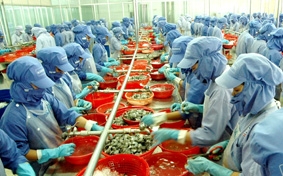 Lùi thời hạn lên lương do nghỉ bệnh, đúng hay sai?