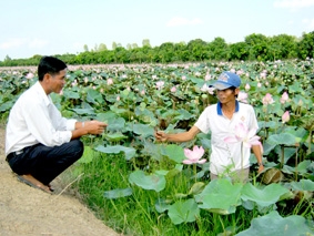 Cần có định hướng để phát triển ổn định