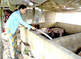CHỊ TRẦN THỊ CHINH <br>
<i>Sẵn lòng giúp phụ nữ nghèo</i>