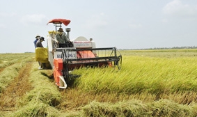 Trông chờ chính sách mới!