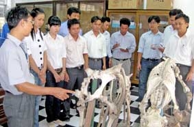 Cần được đầu tư tương xứng