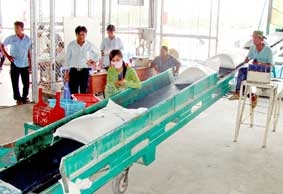 Giá lúa gạo sẽ giữ ở mức cao ?