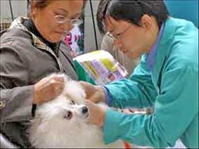 Quản lý chó cưng bằng chip