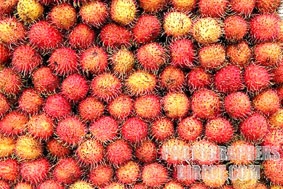 Xuất khẩu rau quả đứng trước nhiều cơ hội