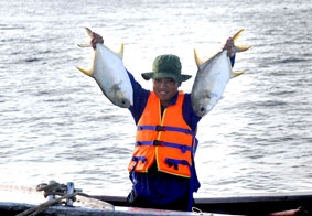 Nhiều tiềm năng nuôi trồng, đánh bắt hải sản